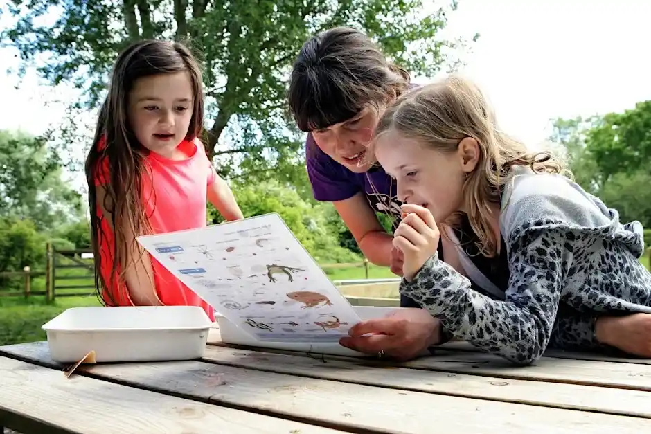 7+ Workshop 'pond Dipping'