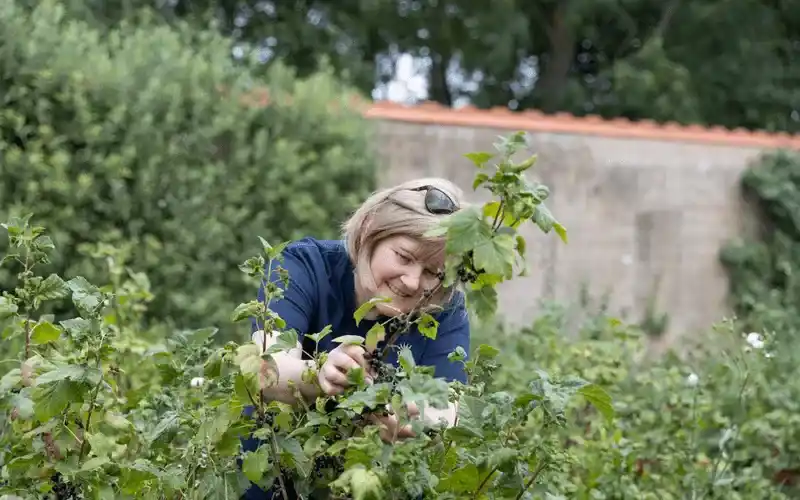 A Forage Around Waddesdon Estate