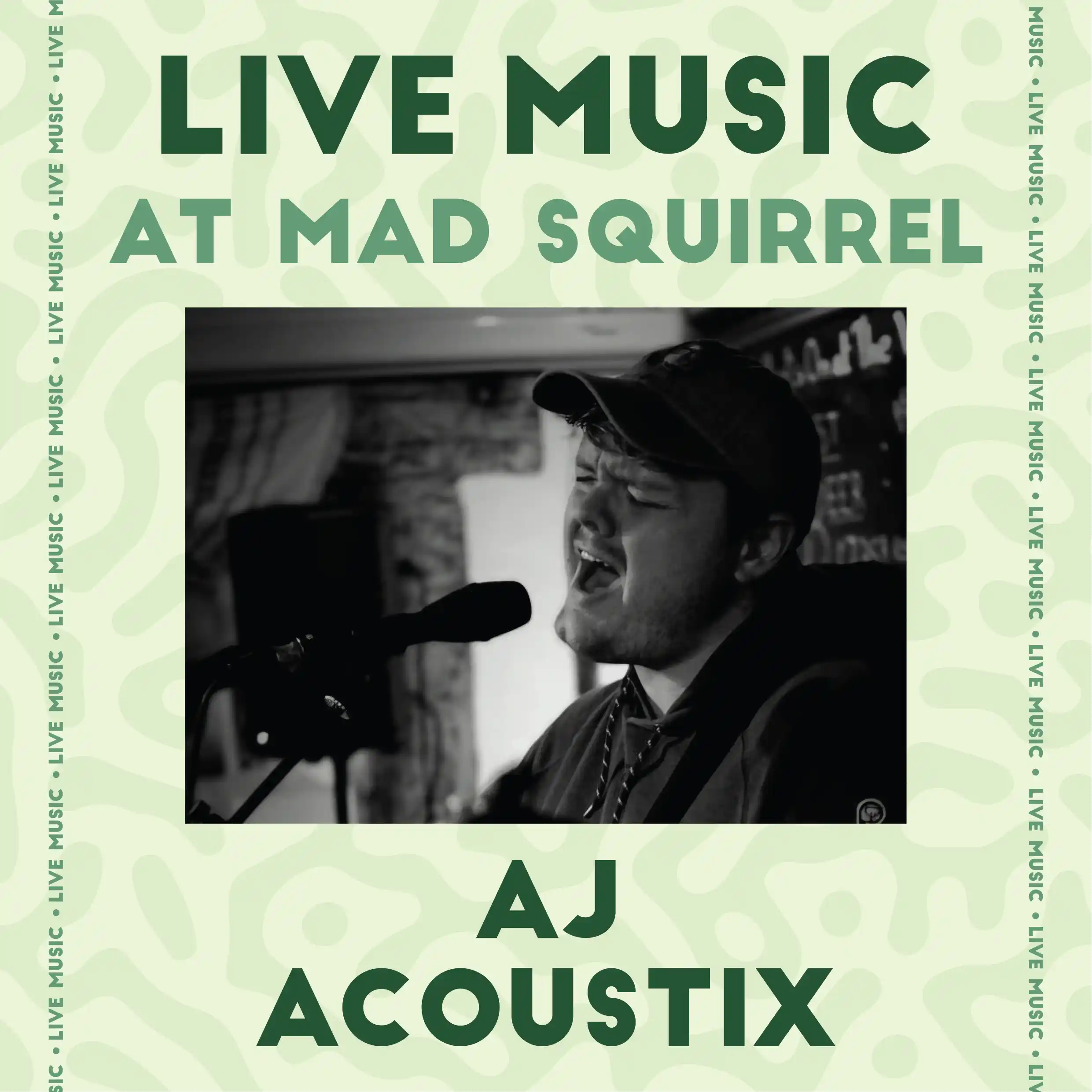 Aj Acoustix - The Mad Squirrel Amersham