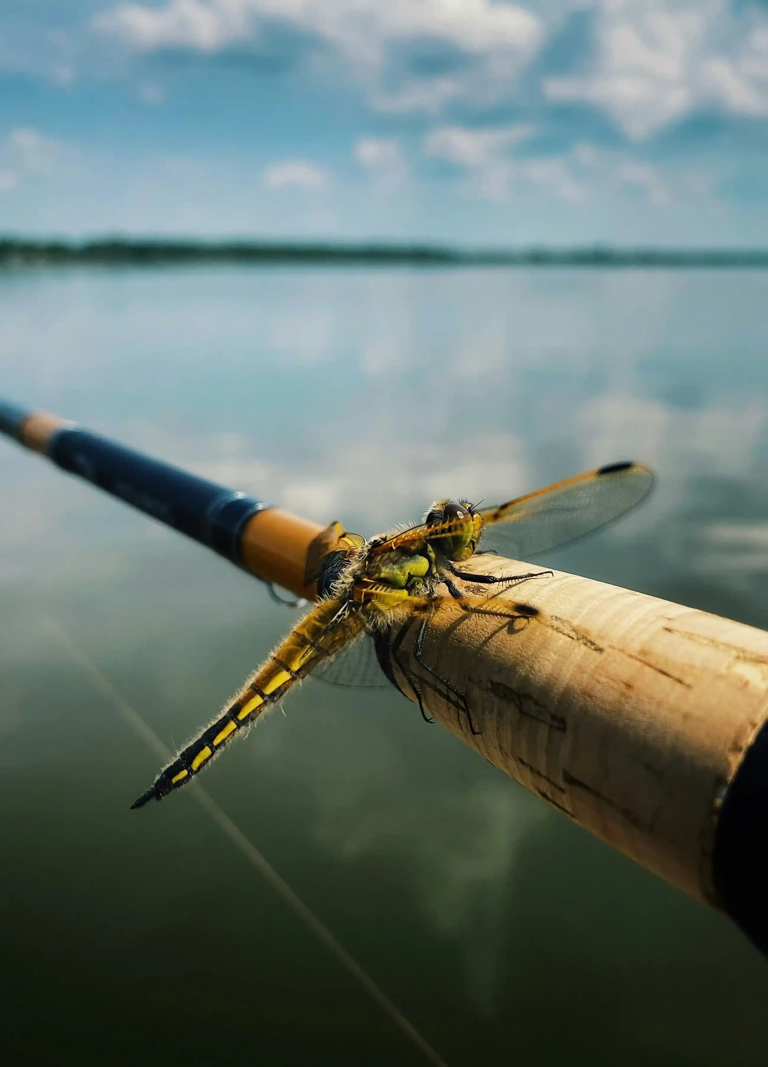 Angler Tasting Sessions
