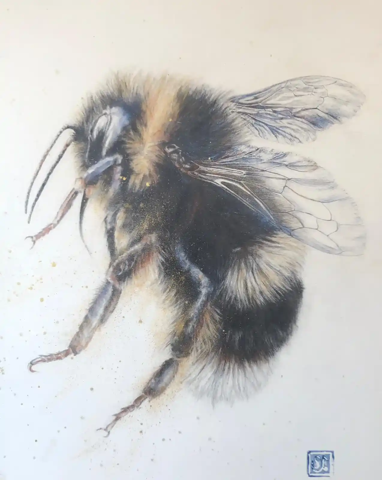 Art Inspiration From The Garden And Beyond - Drawing Bumblebees In Graphite