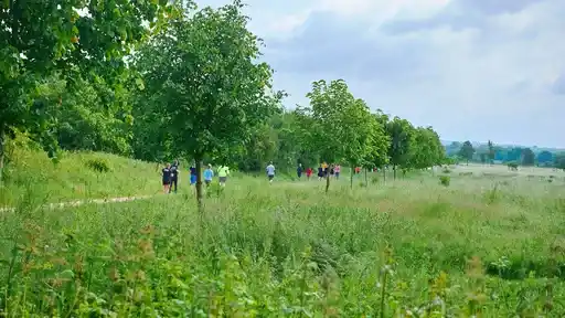 Aylesbury Park Run