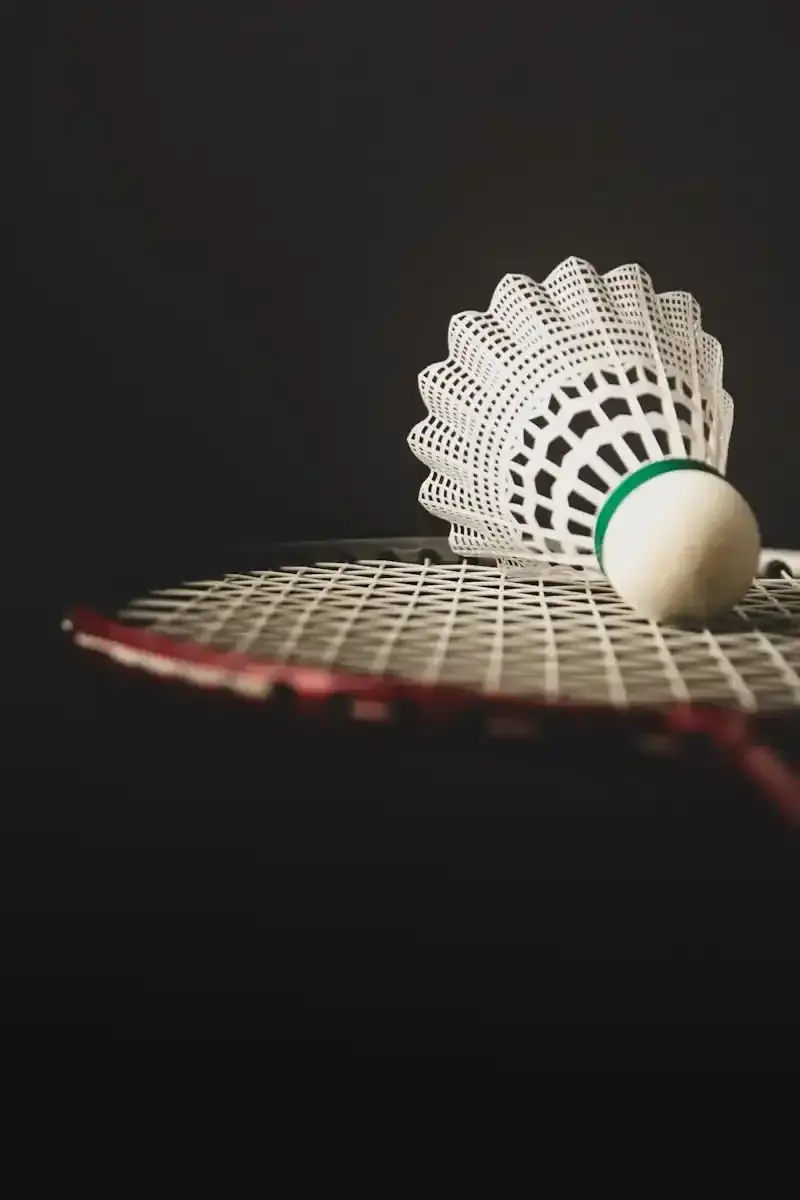 Aylesbury Pheonix Badminton Club