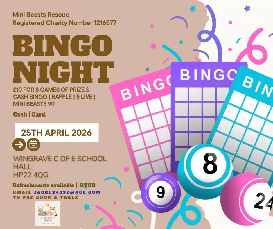 Bingo Night Fundraiser