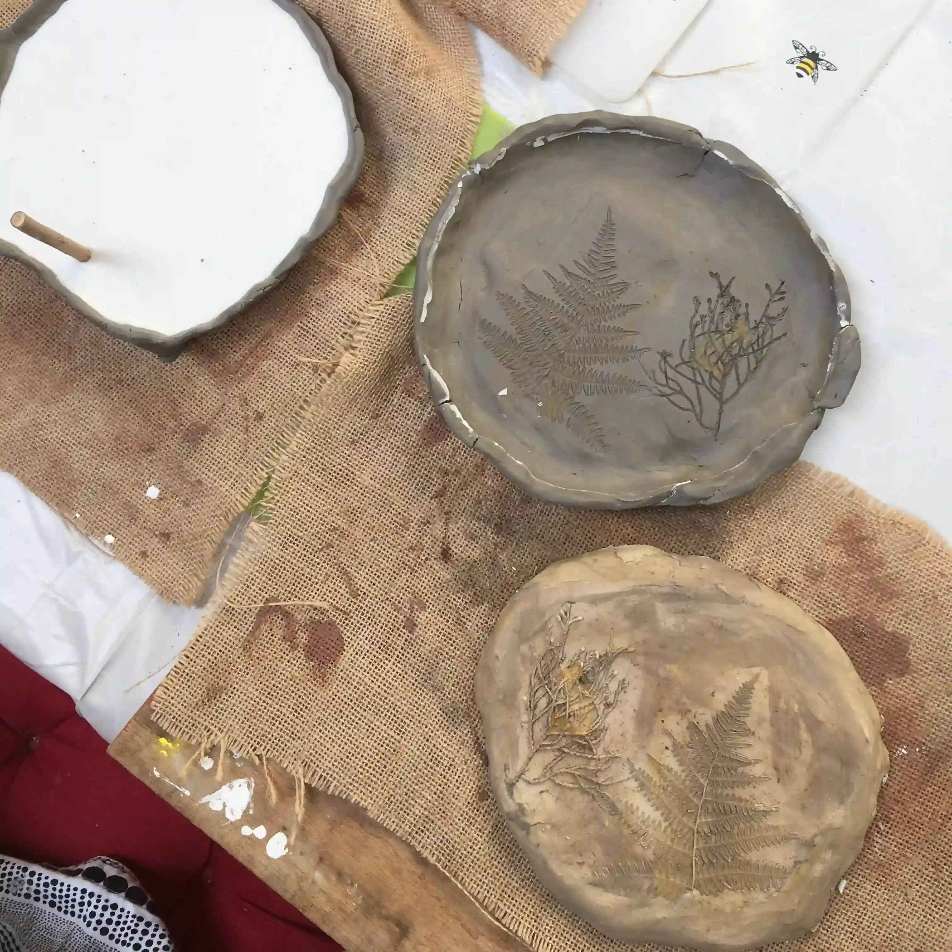 Botanical Plaster Casting