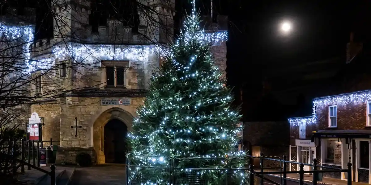 Buckingham Christmas Lights Switch On
