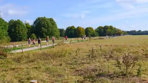 Buckingham Park Run