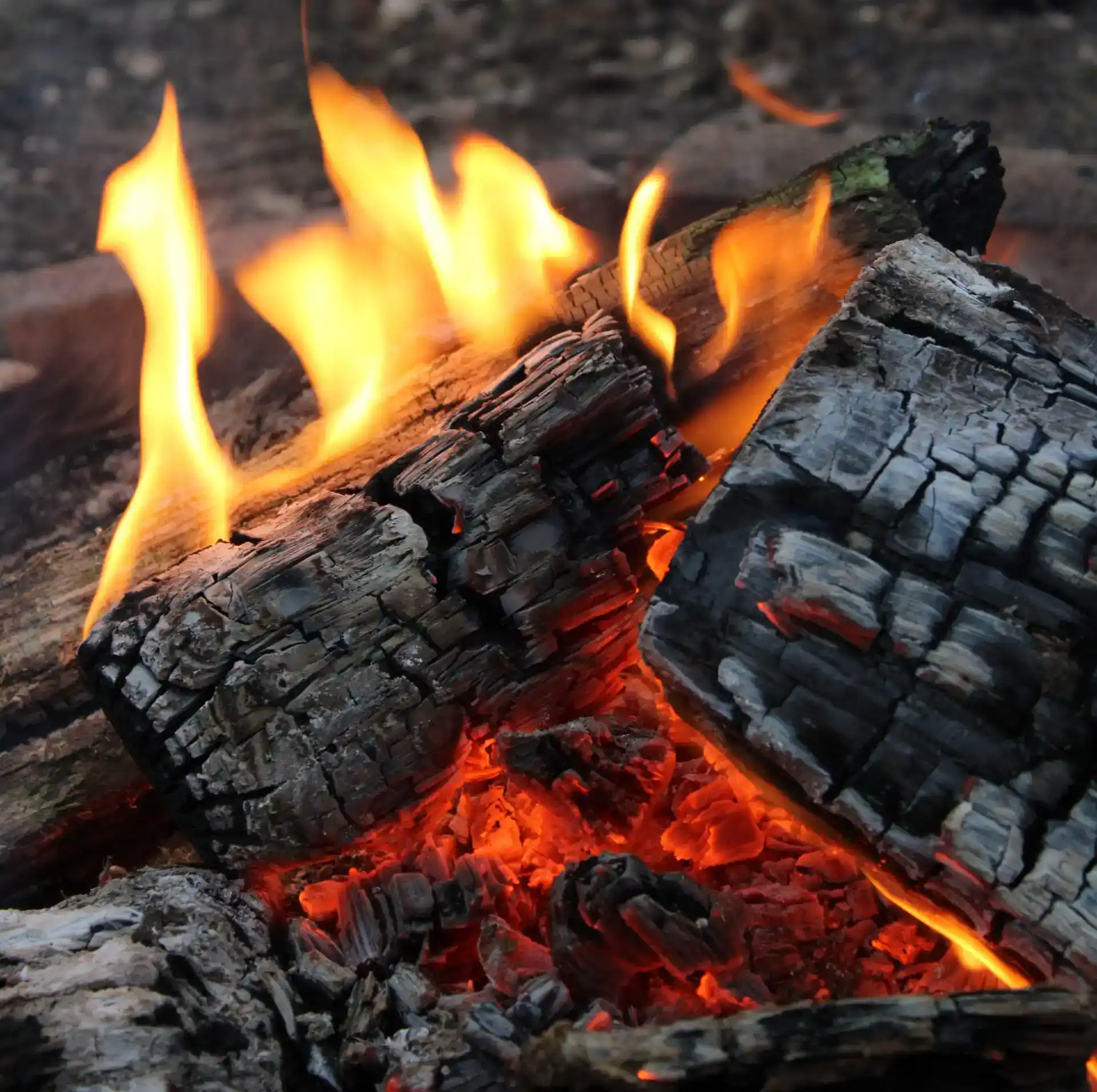 Campfire Cooking