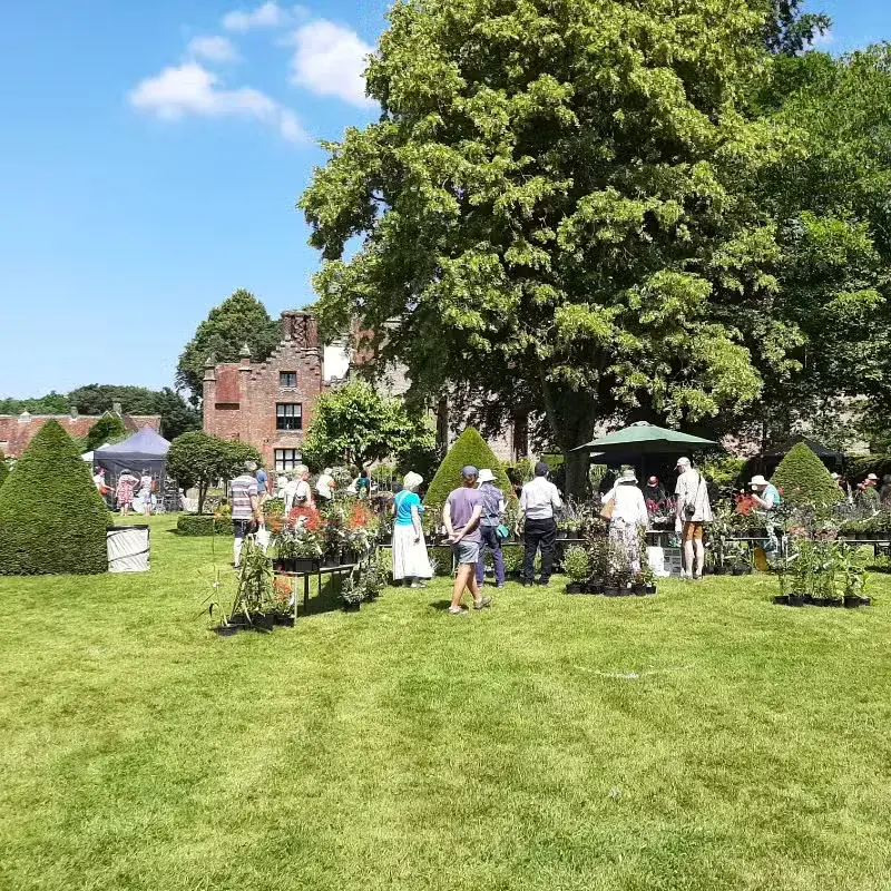 Chenies Manor House Plant Fair
