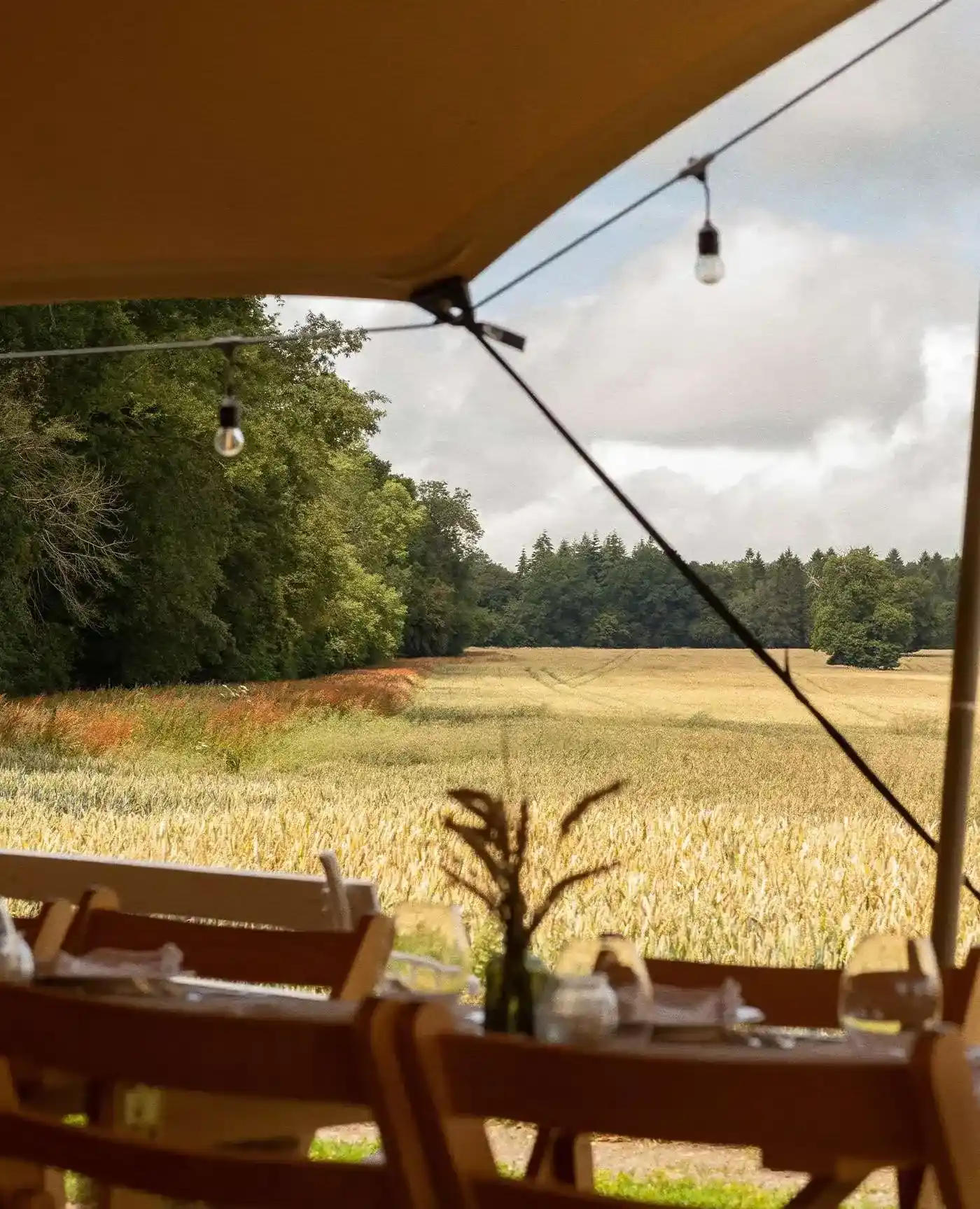 Chiltern Safari Food And Drink Tour
