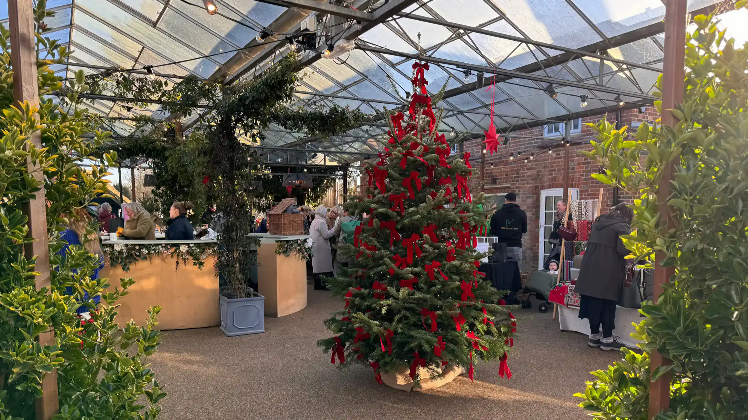Christmas Market Opening Night