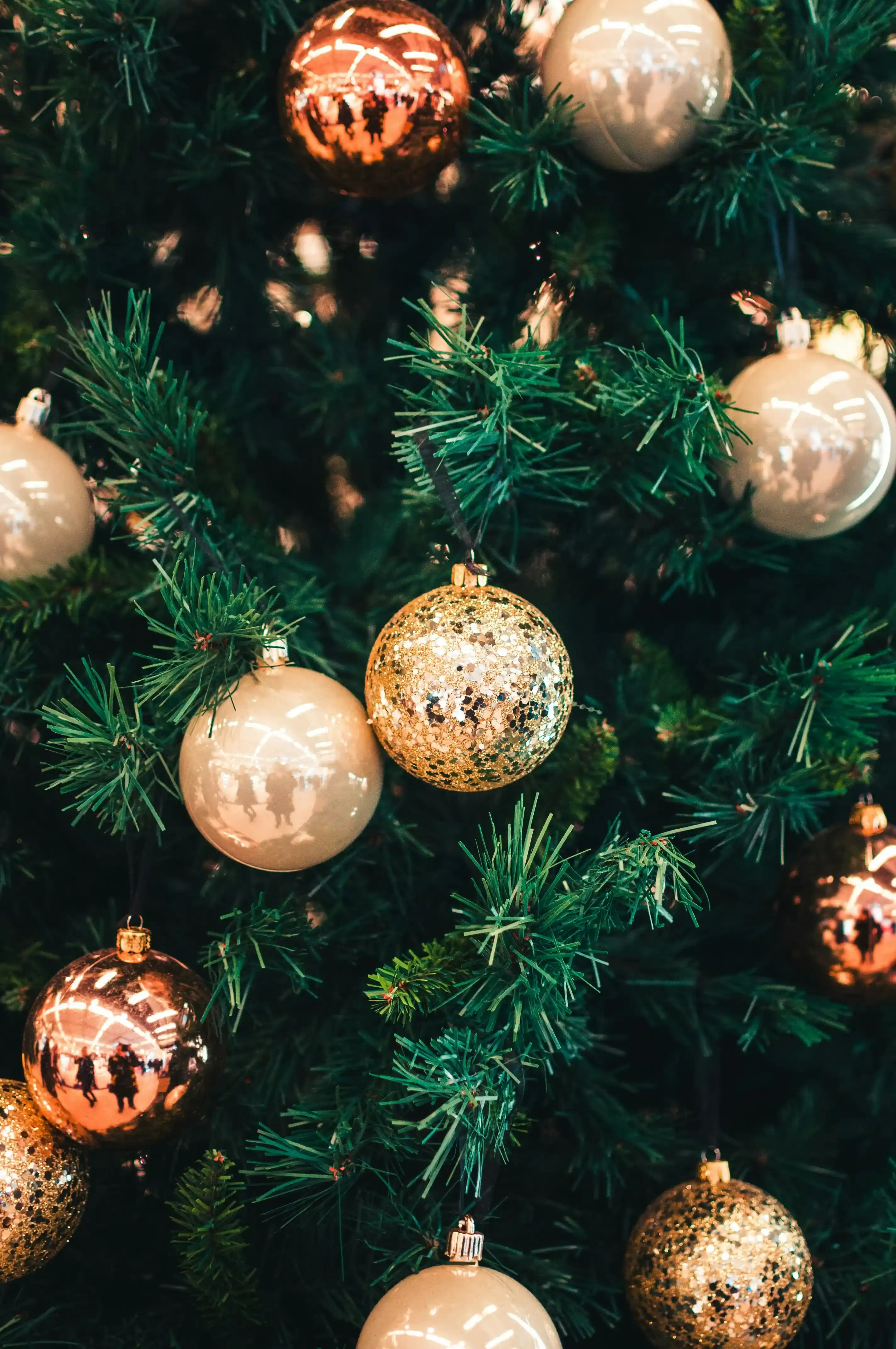 Christmas On Queensway