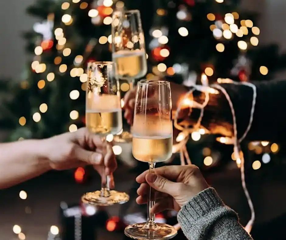 Christmas Wine Tasting At The Orangery