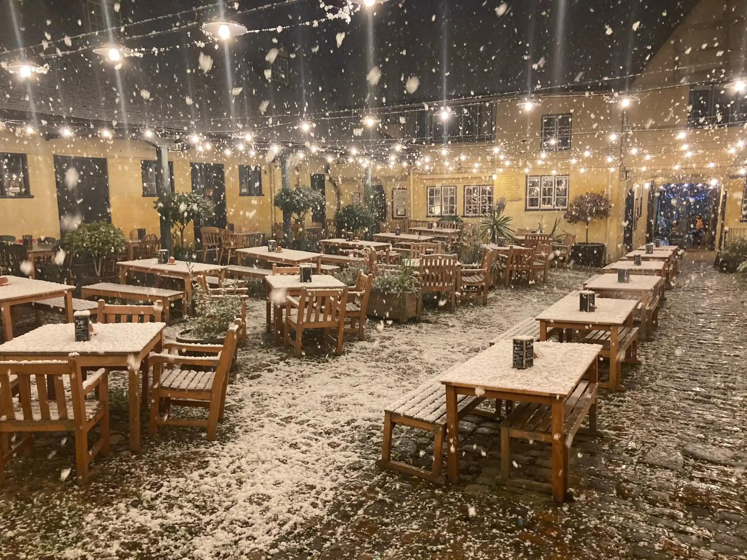 Classic Christmas Carols In The Courtyard