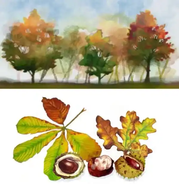 Creative Workshop - Painting Autumn: Trees, Leaves & Light