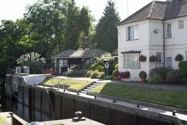 Curious About Marlow