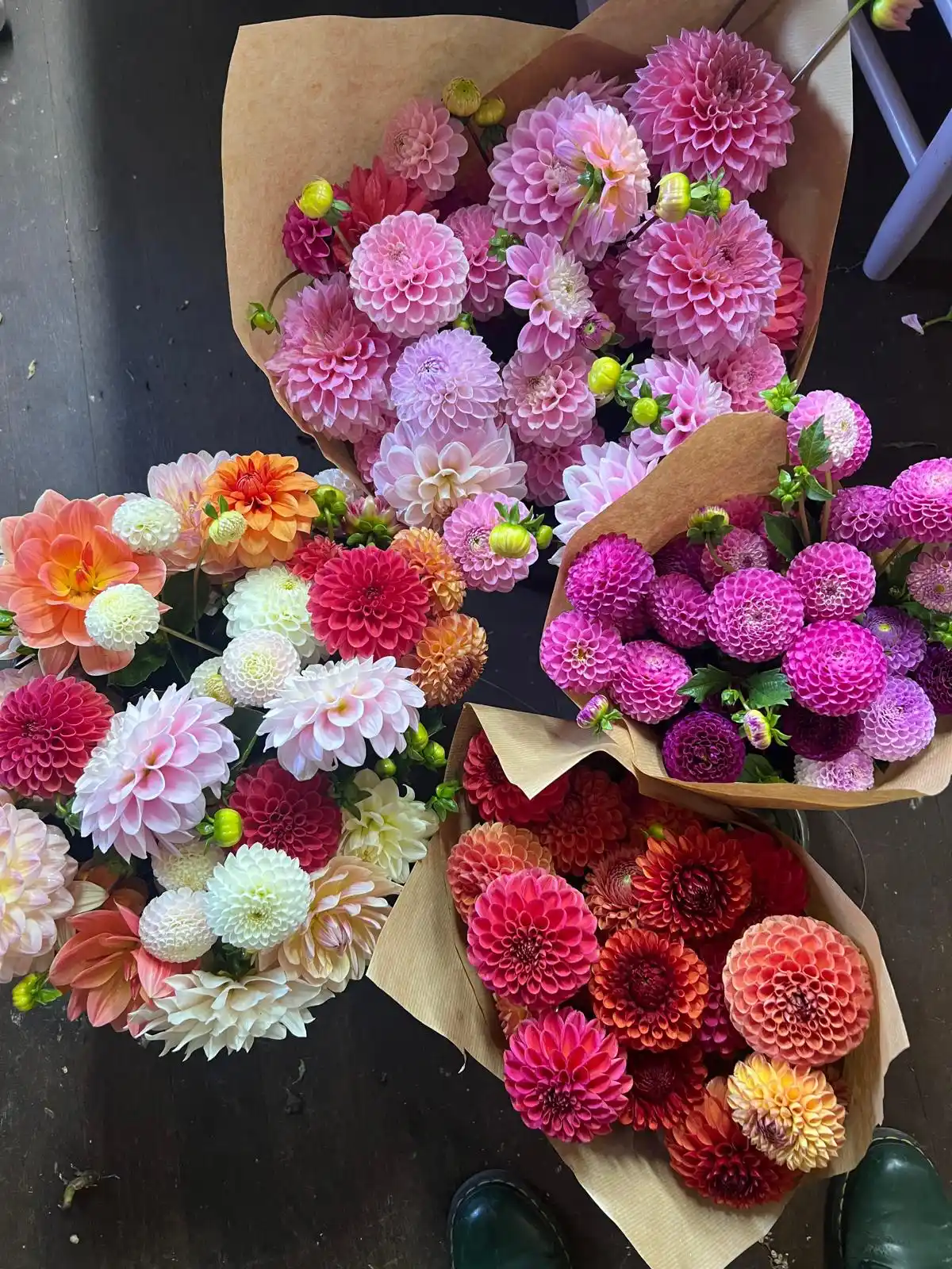 Dahlia Bouquets