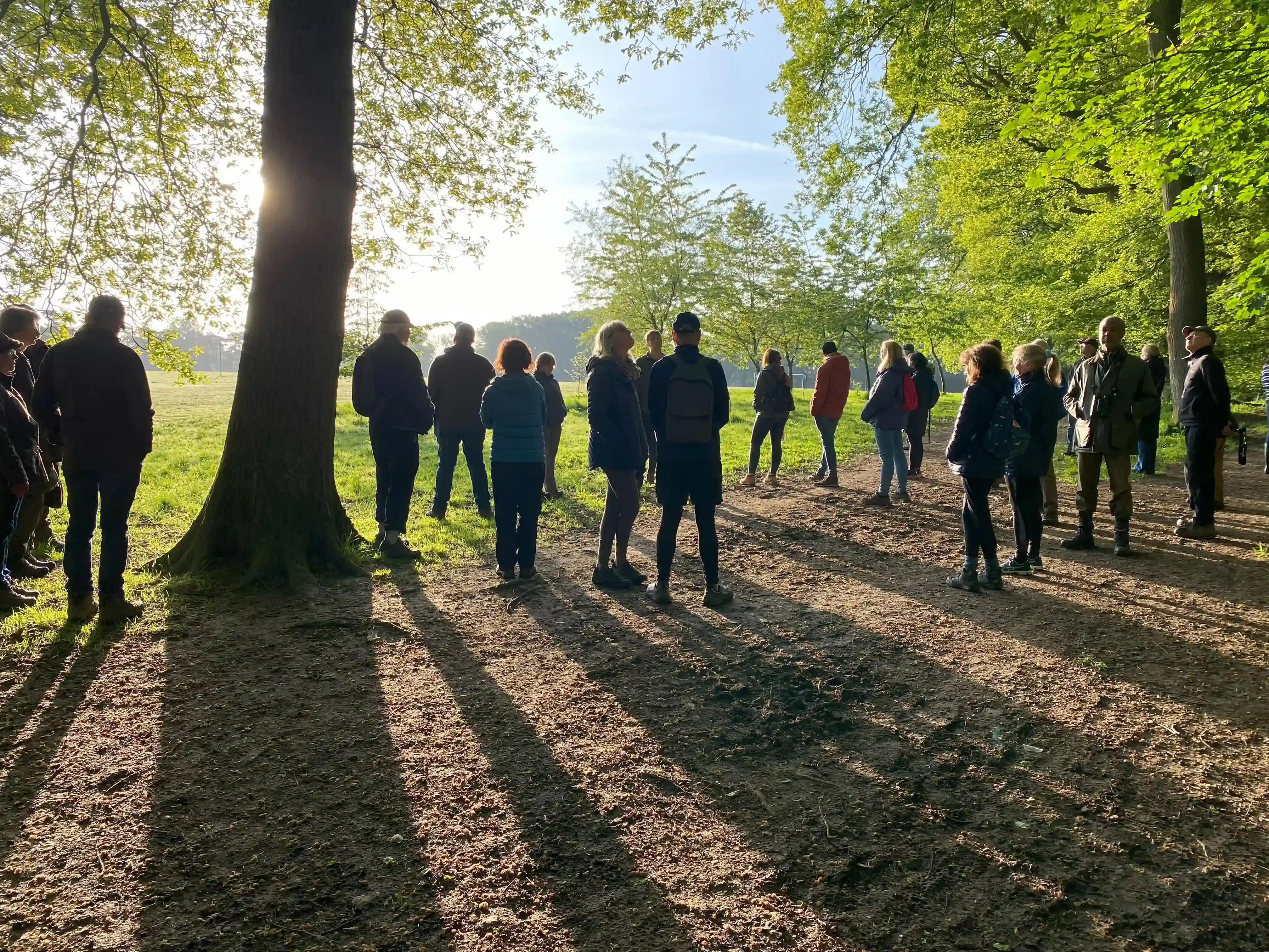 Dawn Chorus Walk Amersham