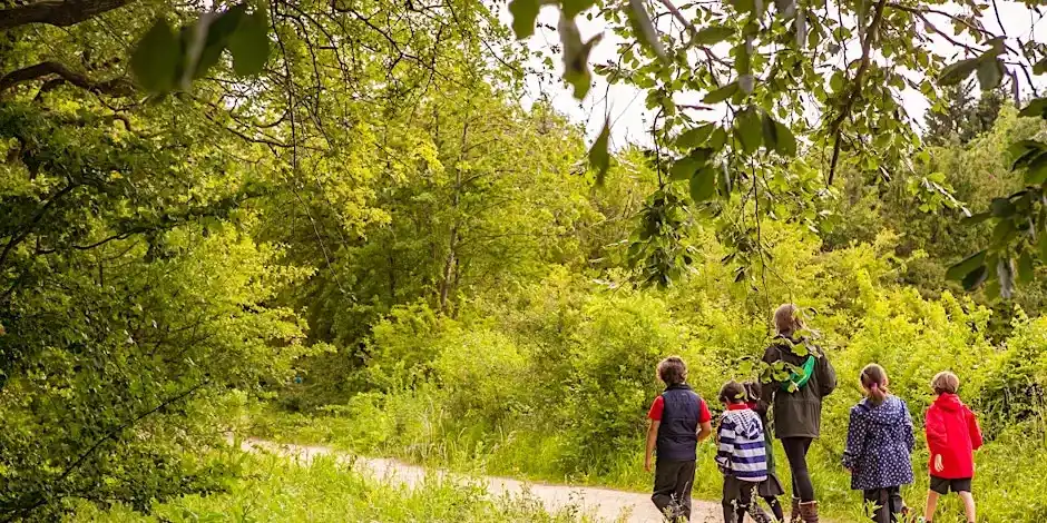 Day Camp 'nature Explorers' - College Lake