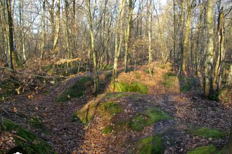 Discover Marlow's WWI Trenches