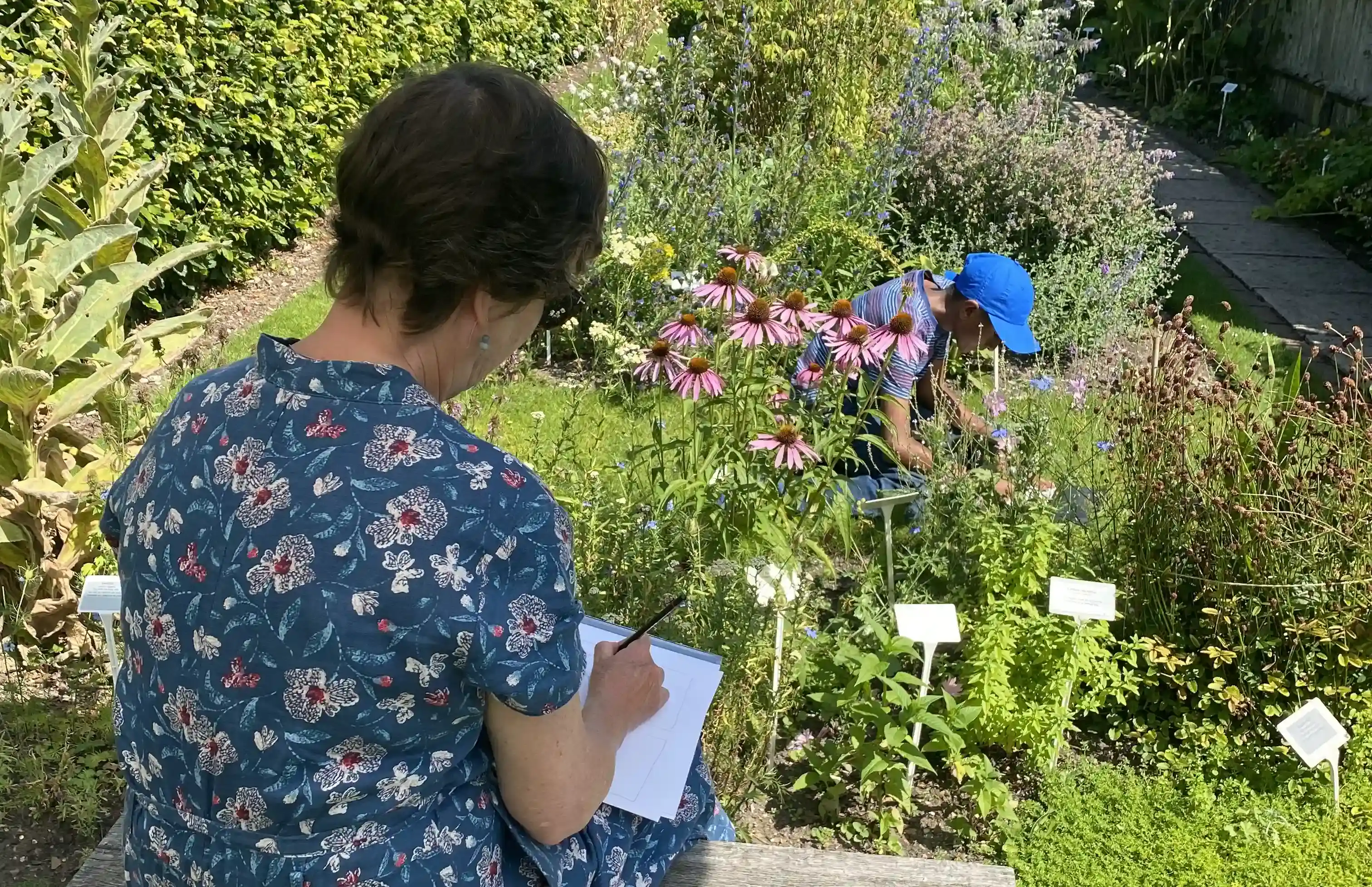 Drawn Into Nature With Wild Amersham