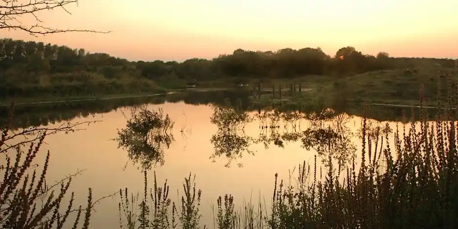 Early Birding - College Lake, Friday 29 August
