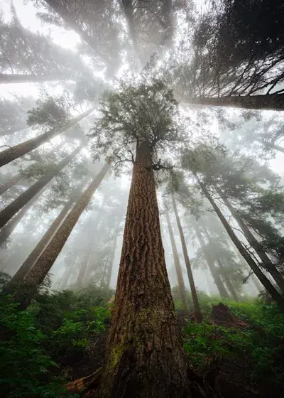 Earth Photo Exhibition