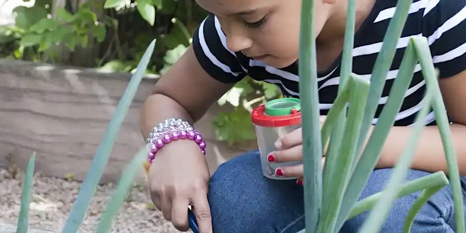 Family Event 'bugs & Beasties'