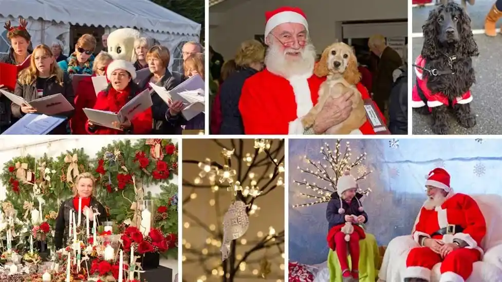 Hearing Dogs Christmas Market