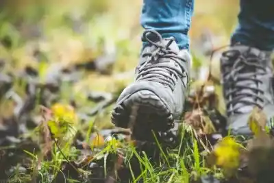 Herbert’s Hole And Hyde Heath Organised Walk