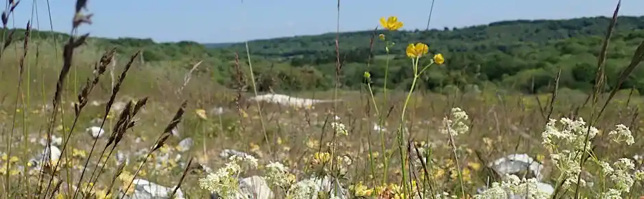 High Wycombe Nature Evening - Wycombe Arts Centre, Tuesday 18 November