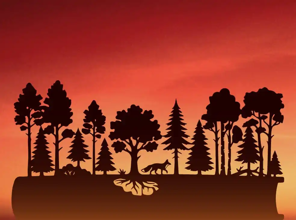 Into The Woods With Poet Will Burns: A Family Poetry Adventure