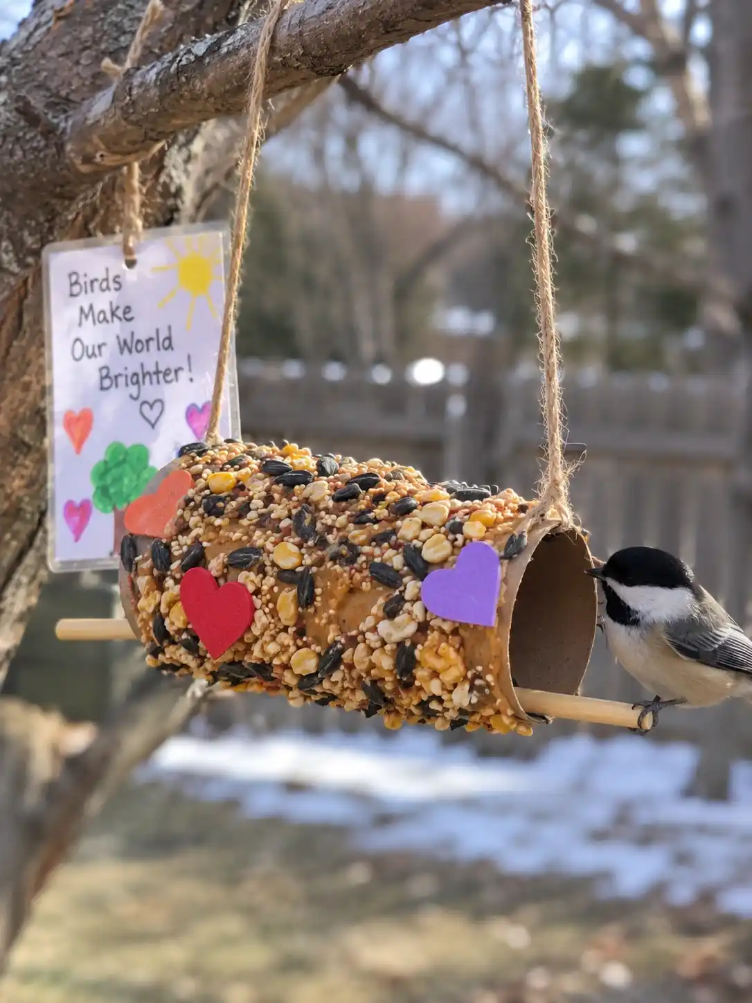 Junior Farmers- Bird Feeder Making