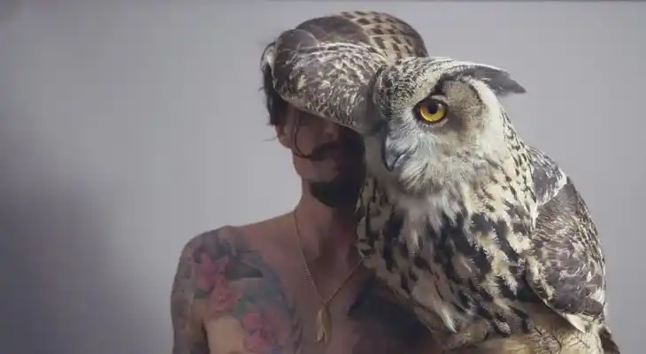 Justin Hawkins Rides Again….Again