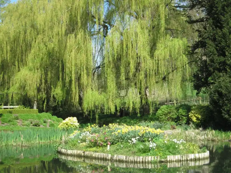 Long Crendon Gardens - National Open Gardens
