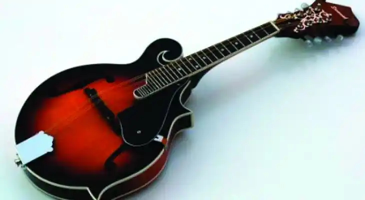 Mandolin Beginners