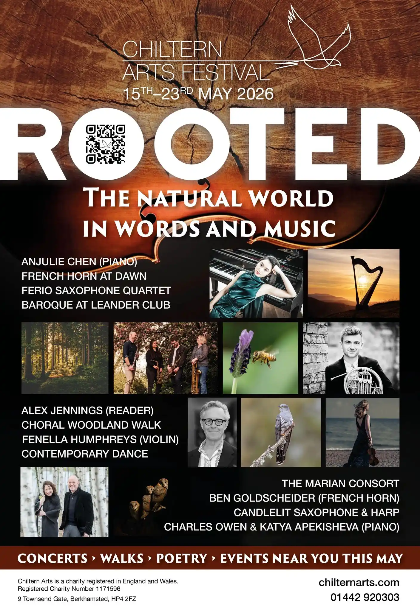 Mid-Morning Magic With Horn & Harp