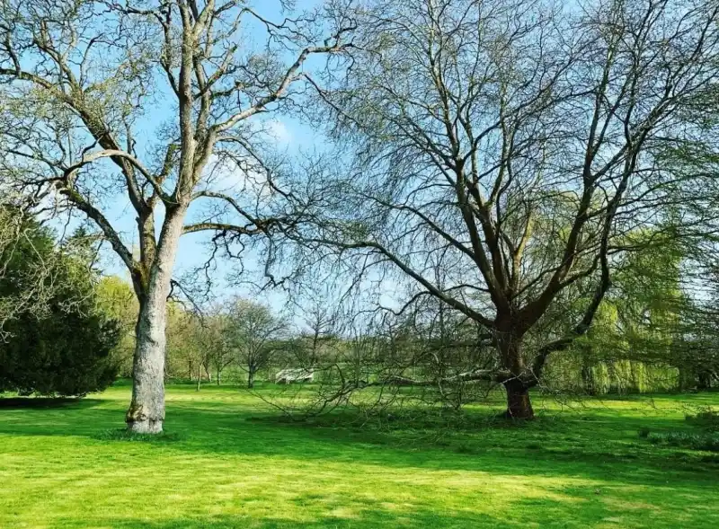 Nether Winchendon House - National Open Gardens