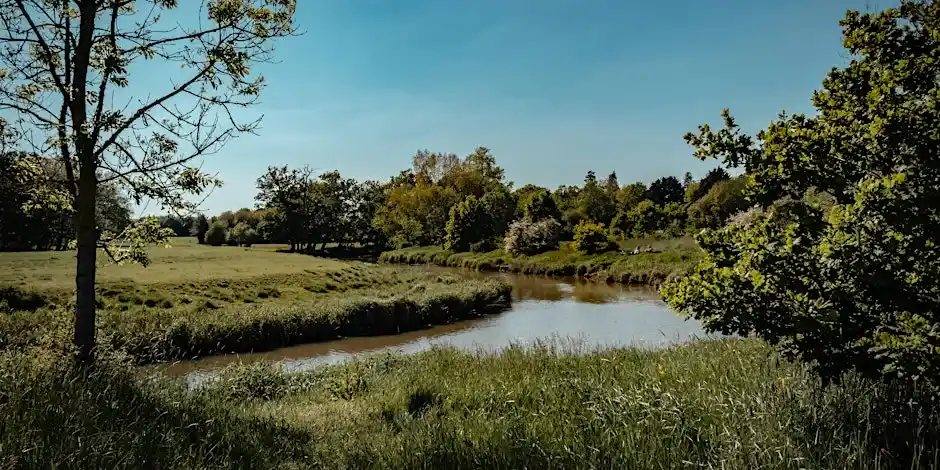 New Hike: The Famous Chess Valley Trail. Forests& Rivers Of England