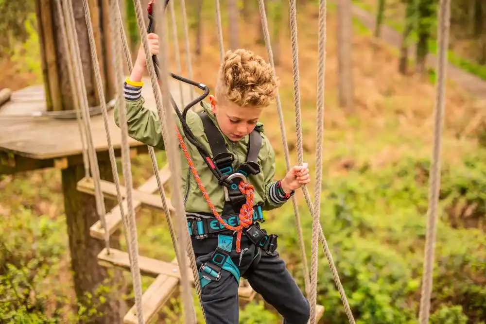 October Half Term At Go Ape Wendover
