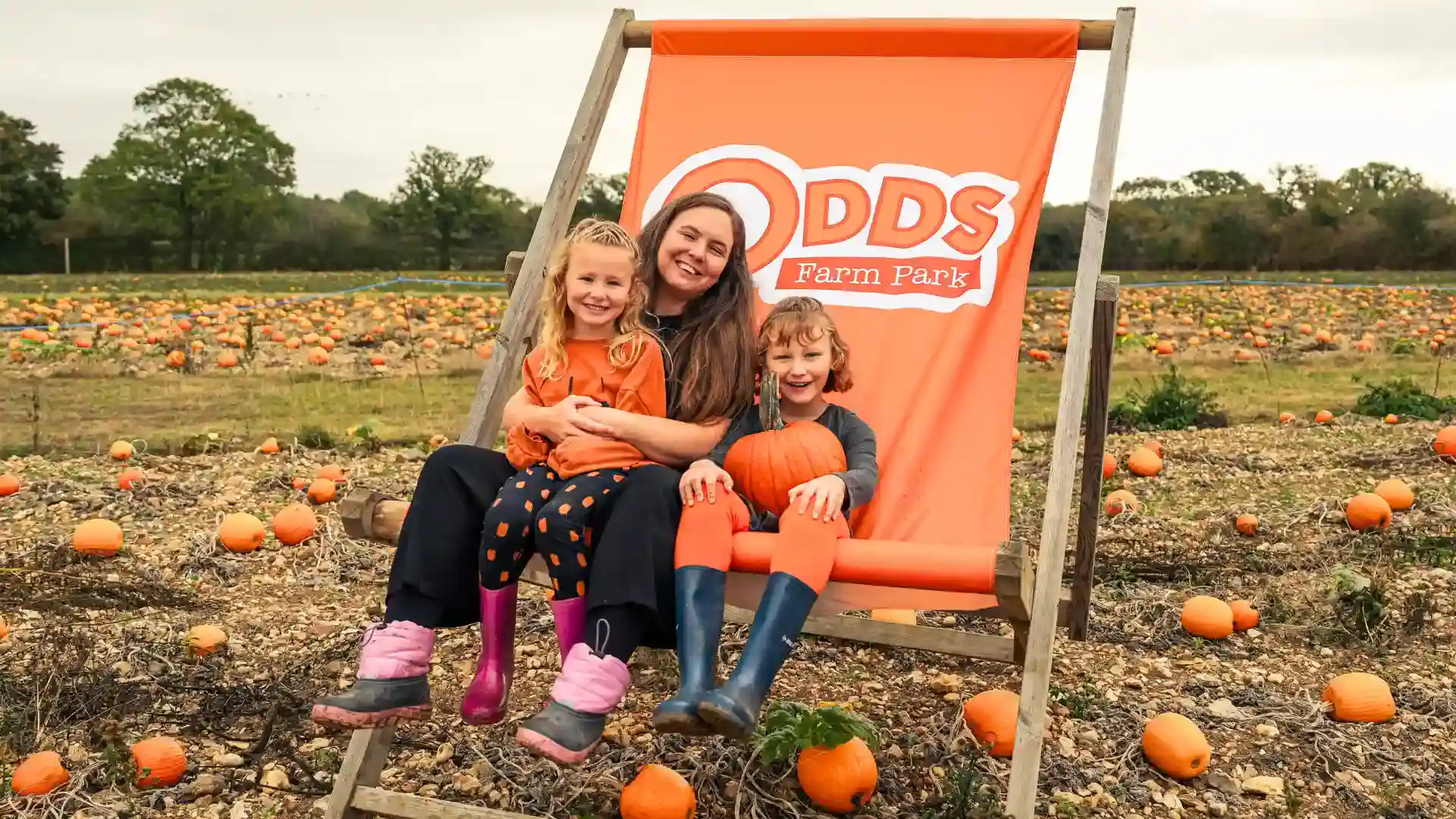 October Half Term Pumpkin Festival