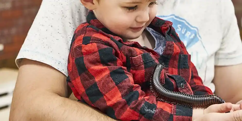 One World Animals - Wendover 10:15 Am Toddler Event