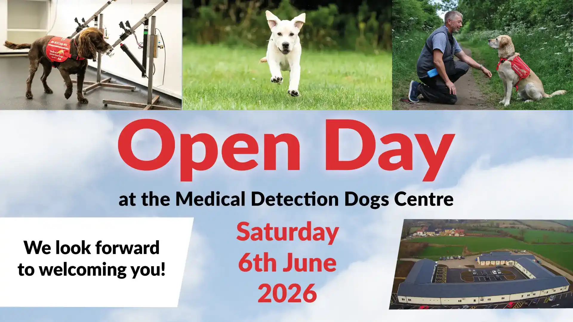 Open Day At Medical Detection Dogs