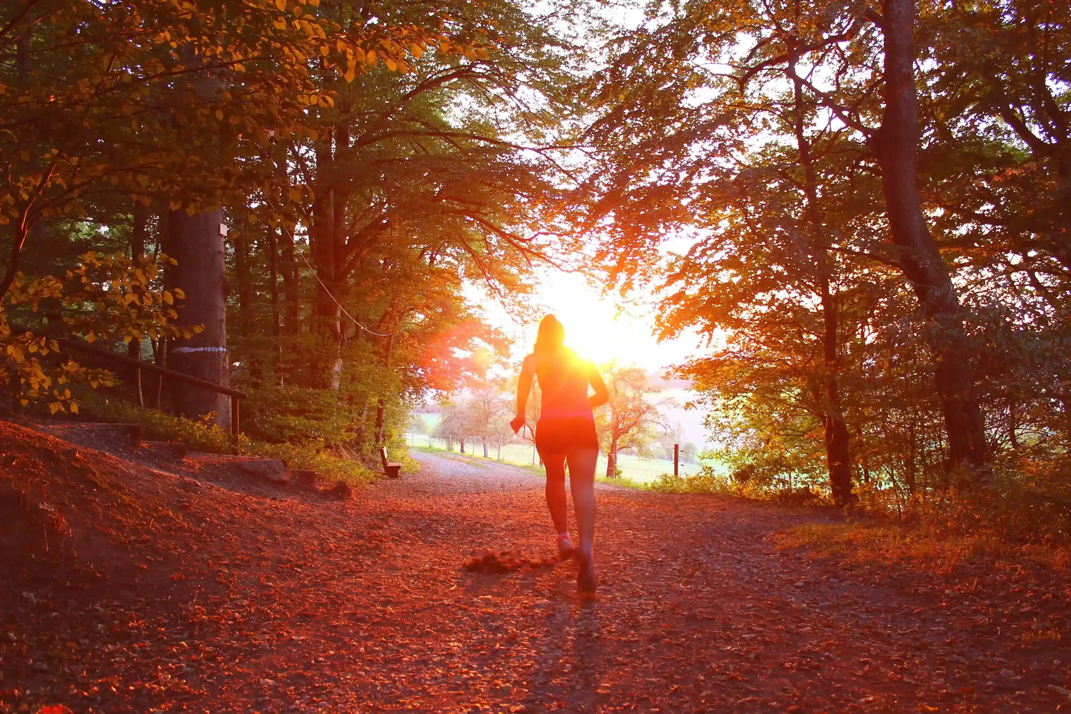 Park Runs