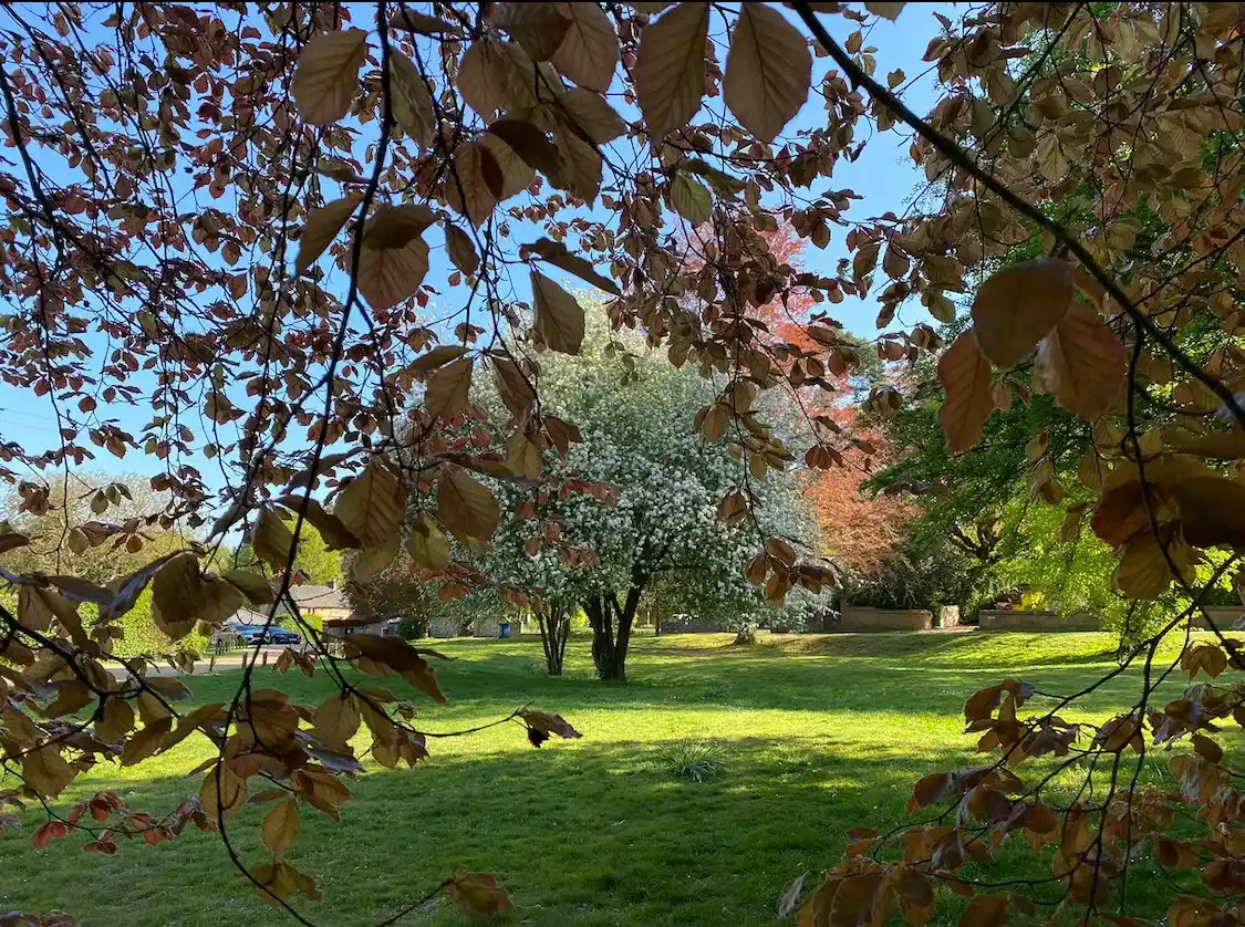 Penn And Tylers Green Open Gardens