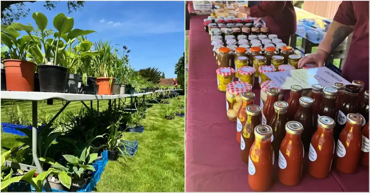 Plant And Cake Sale