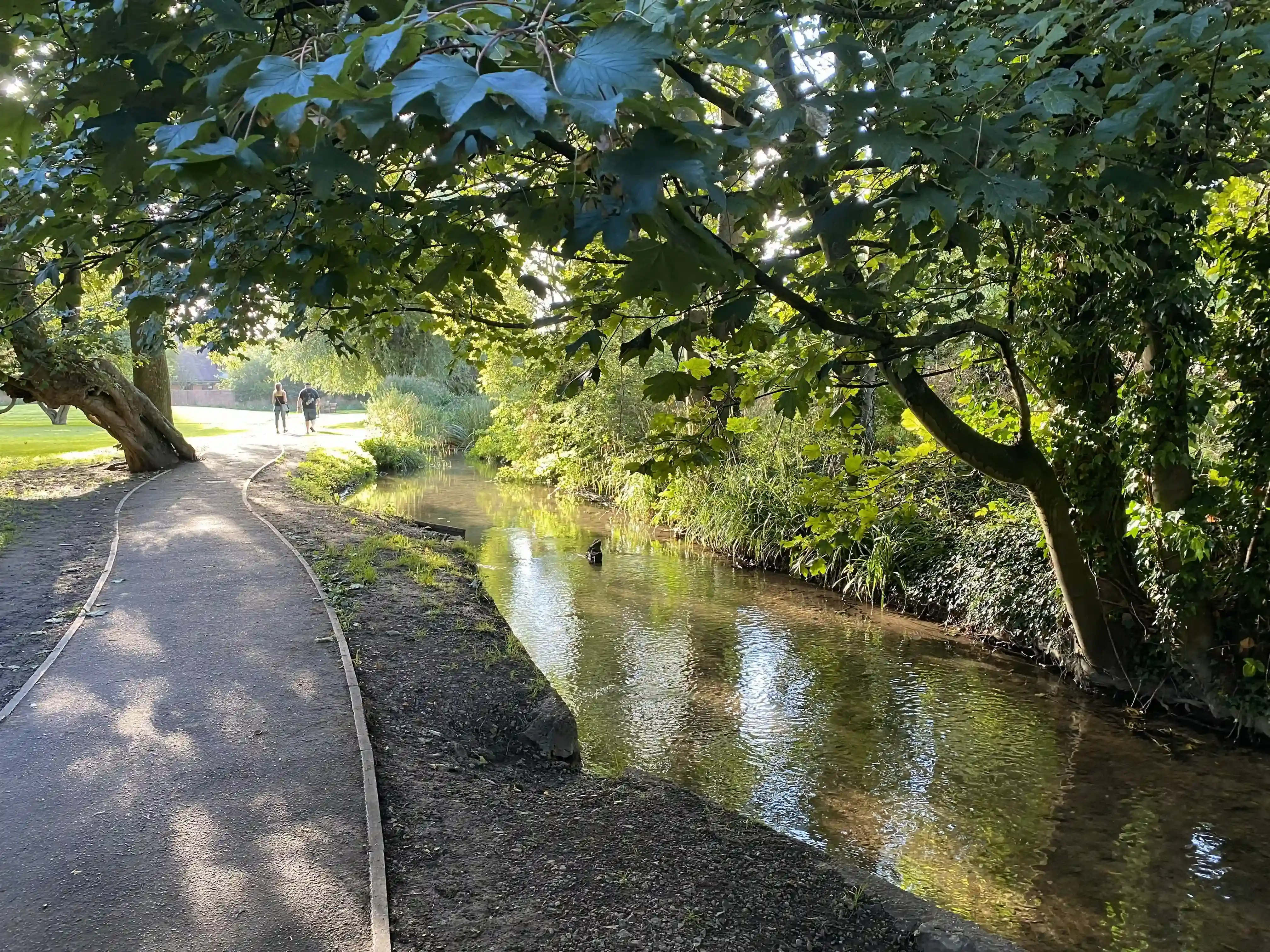 Plants and Places - an Amersham amble