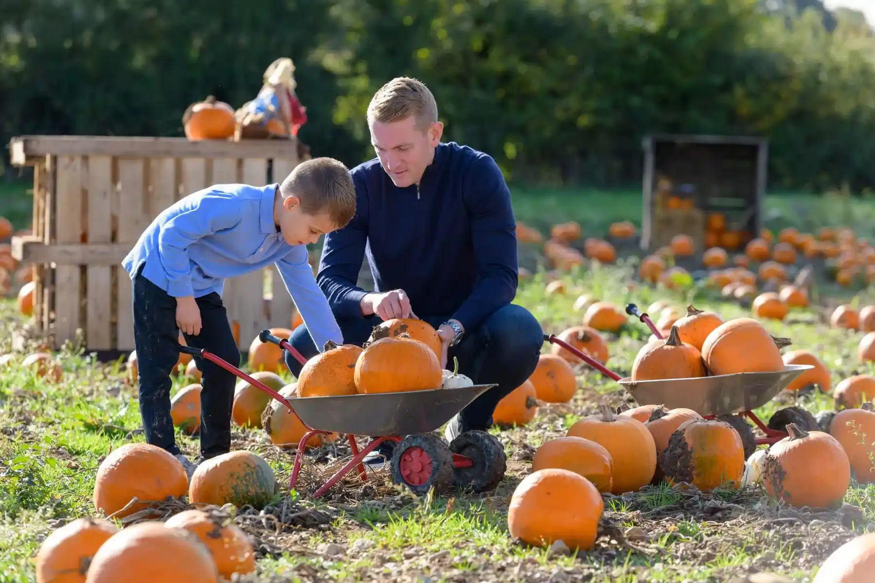 Pumpkin Festival At Odds Farm Park