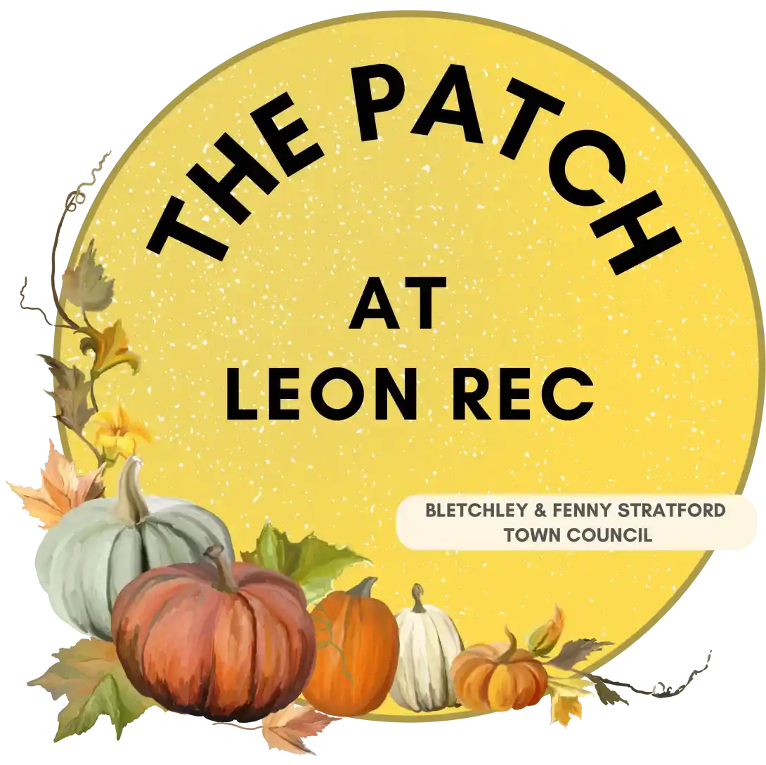 Pumpkin Patch At Leon Rec Park