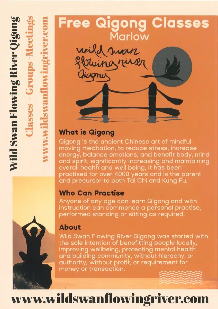 Qigong – Wild Swan Flowing River